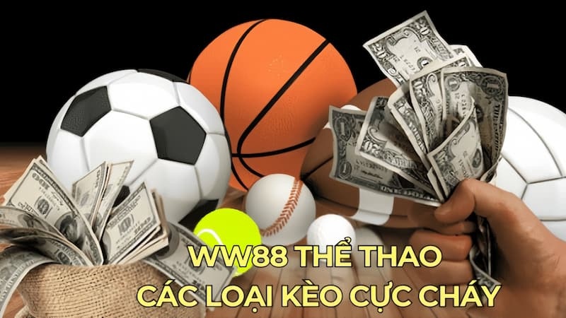 thể thao ww88 đỉnh cao