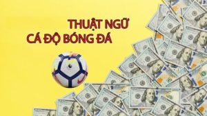 tổng hợp thuật ngữ cá cược bóng đá