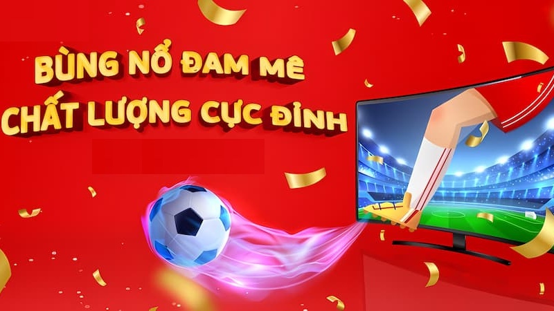 xem trực tiếp bóng đá tại WW88